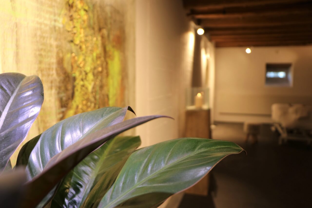 Das Zentrum Zentrum der Gesundheit